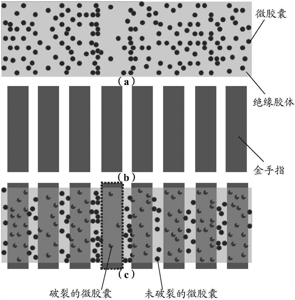 Anisotropic conductive adhesive tape and adhesive tape roll, binding structure and display apparatus