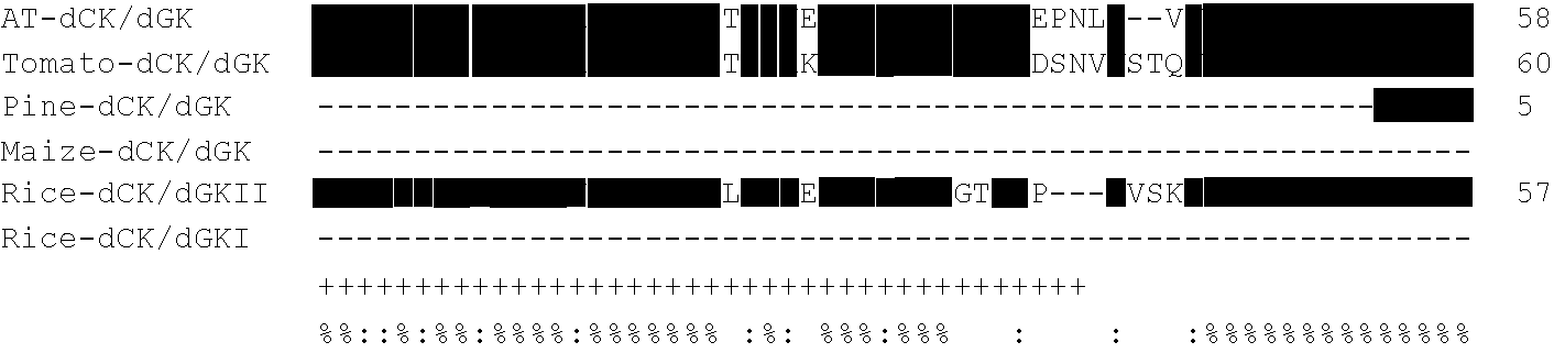 Plant deoxyribonucleoside kinase enzymes and their use