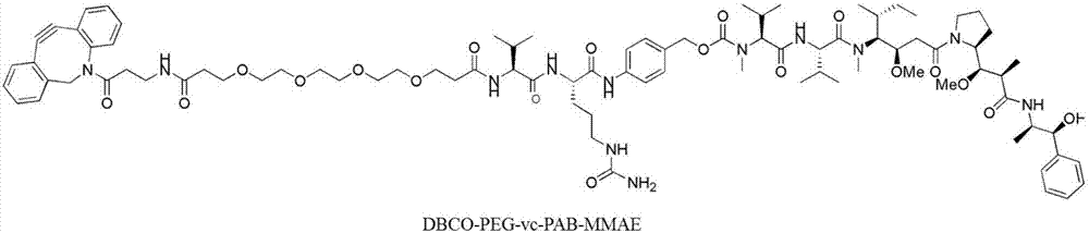 Preparation method of antibody-conjugated medicine, antibody-conjugated medicine and applications