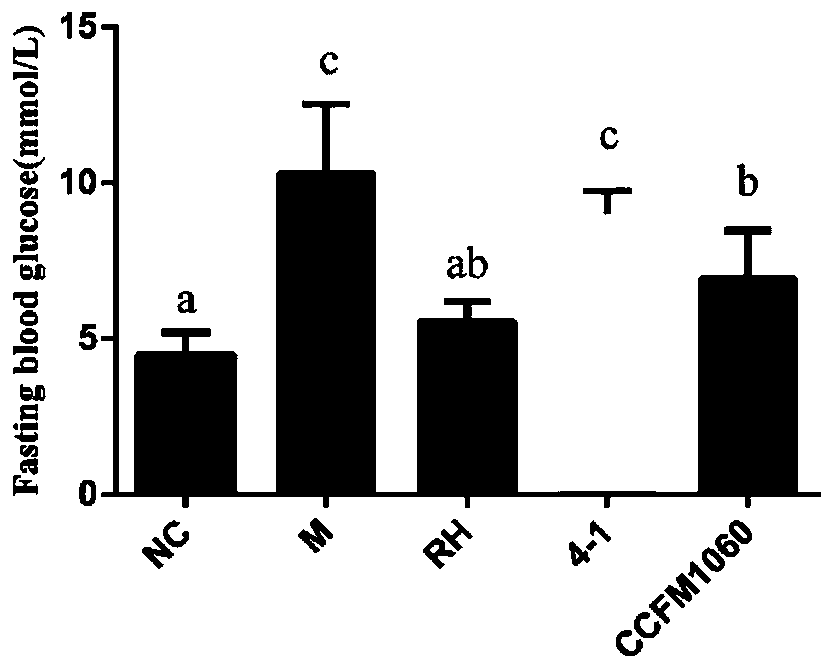 Application of lactobacillus rhamnosus CCFM1060 in preparation of functional microbial agents, foods and/or medicines