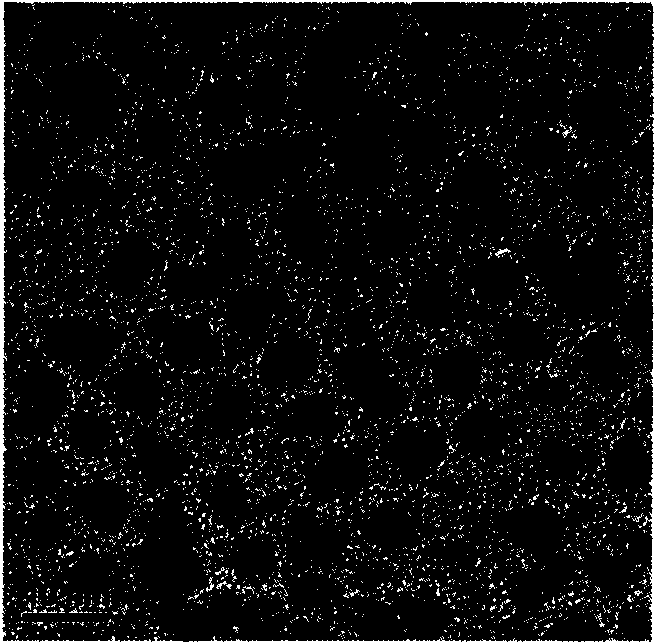 Nuclear shell nanometer catalyst packaged with noble metal nanometer grains and method thereof