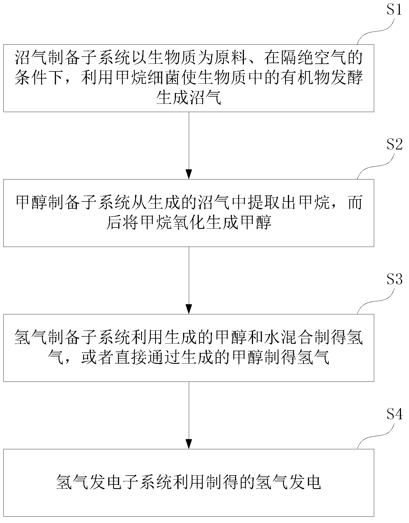 System and method for generating power by using biomass