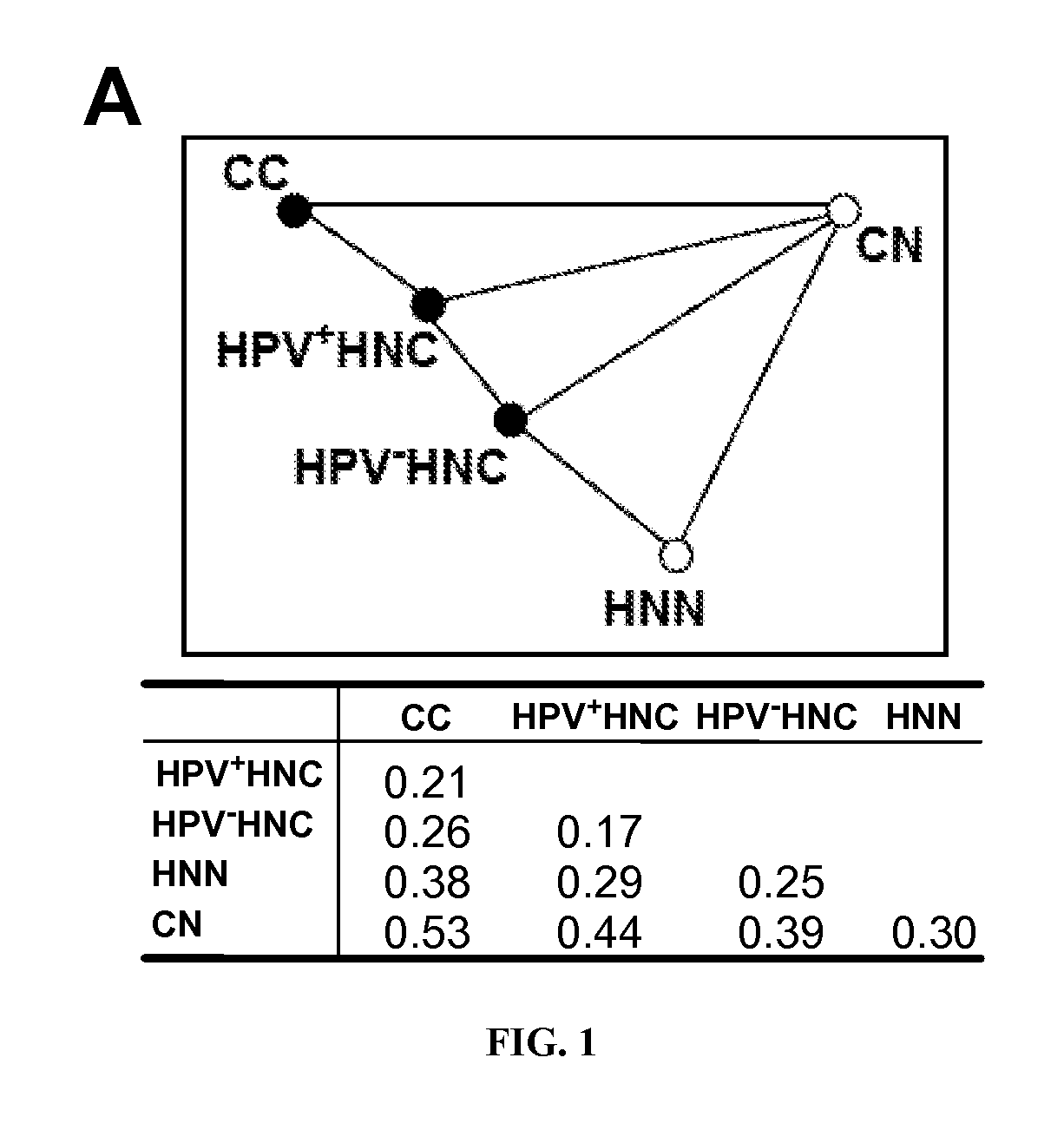 Biomarkers For Human Papilloma Virus-Associated Cancers