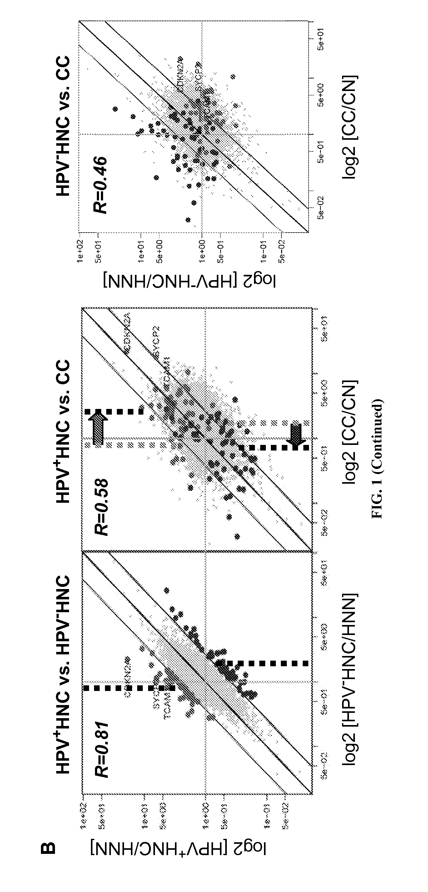 Biomarkers For Human Papilloma Virus-Associated Cancers