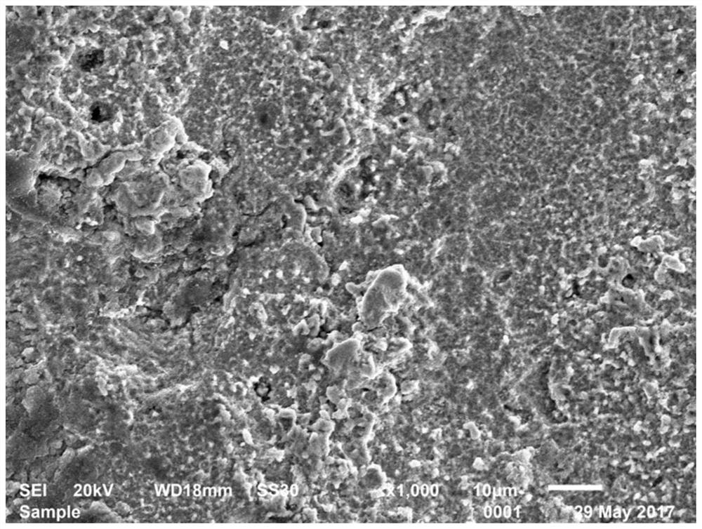 A method for preparing copper anti-fouling micro-nano composite structure layer by electric discharge machining