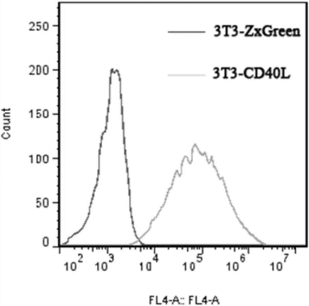 Anti-H7N9 all-human-derived monoclonal antibody 2J17, and preparation method and application thereof