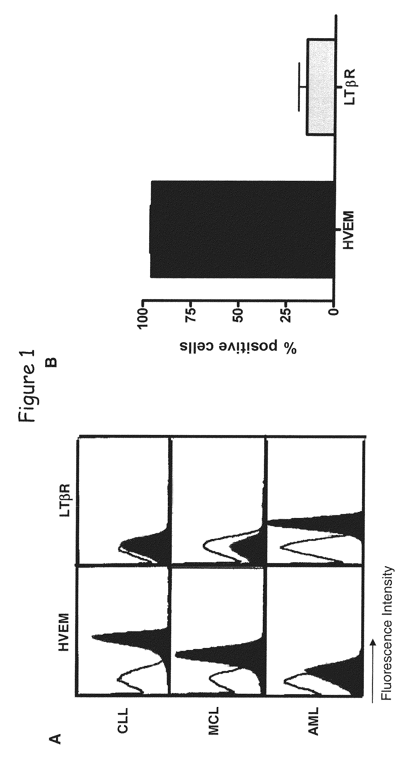 Ligands of HVEM for treating hematologic malignancies