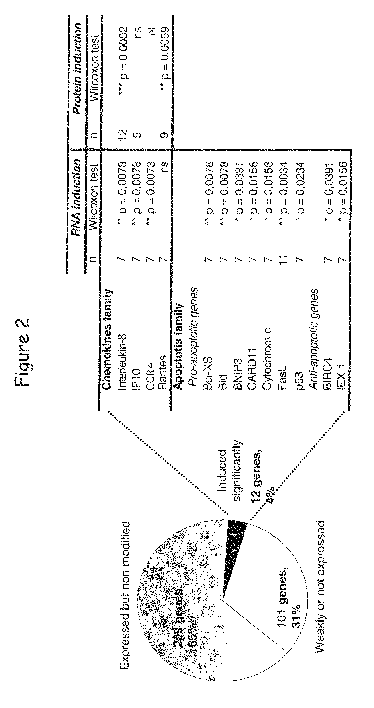 Ligands of HVEM for treating hematologic malignancies