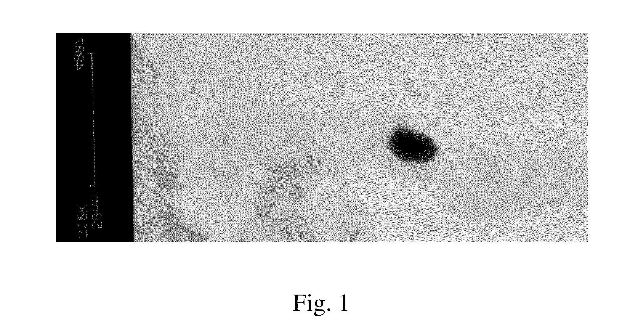 Hybrid NANO sorbent