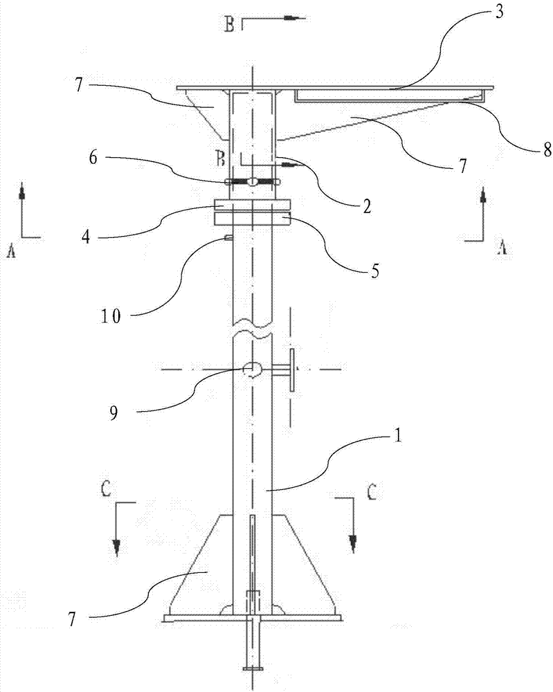 Projection lamp support