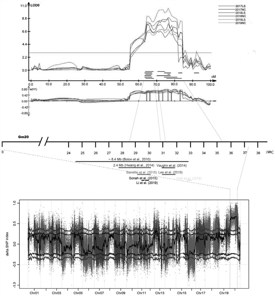 Molecular markers for screening soybean materials, screening method, breeding method and application