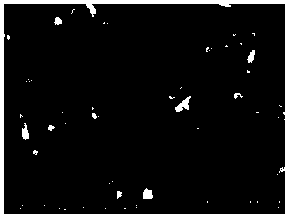 Rod-shaped nitrogen and phosphorus co-doping mesoporous carbon material and preparation method and application thereof