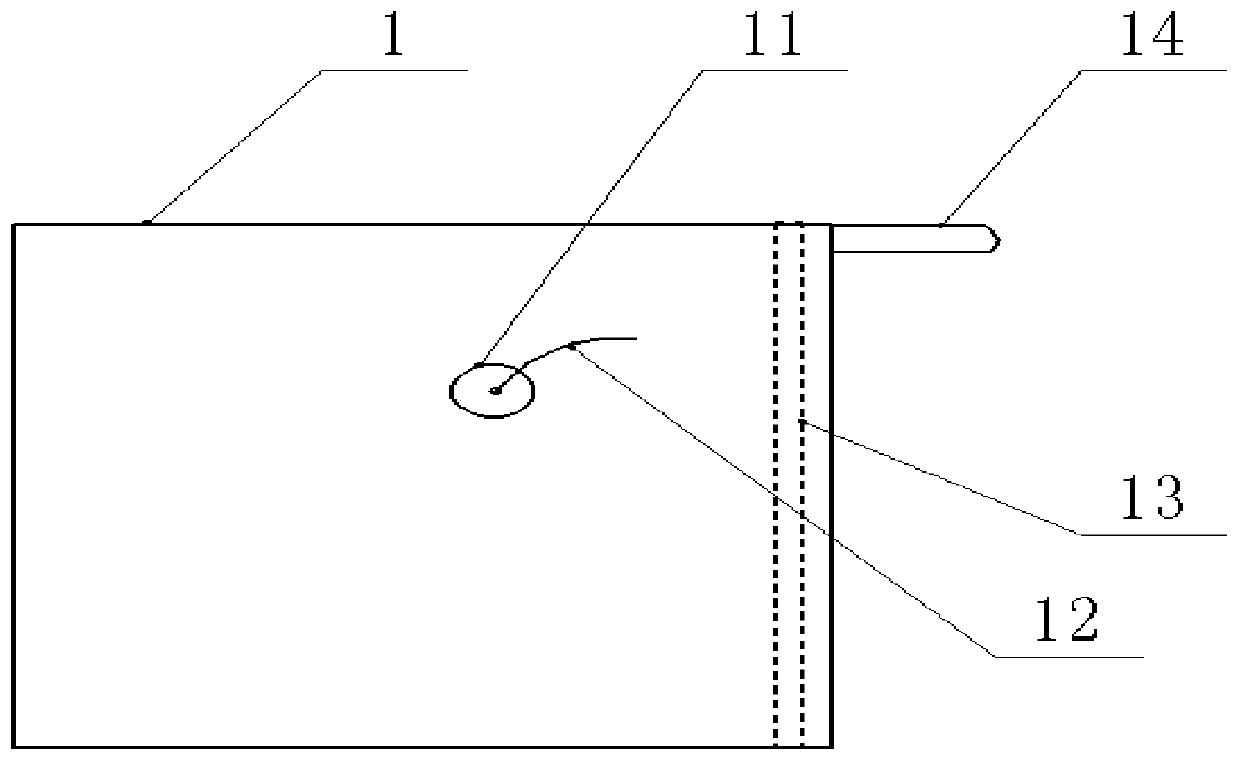 Probiotic reinforced microelement-vitamin solid beverage and preparation method thereof