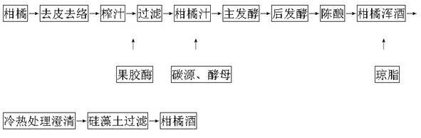 Fermented orange wine and preparation method thereof