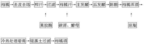 Fermented orange wine and preparation method thereof