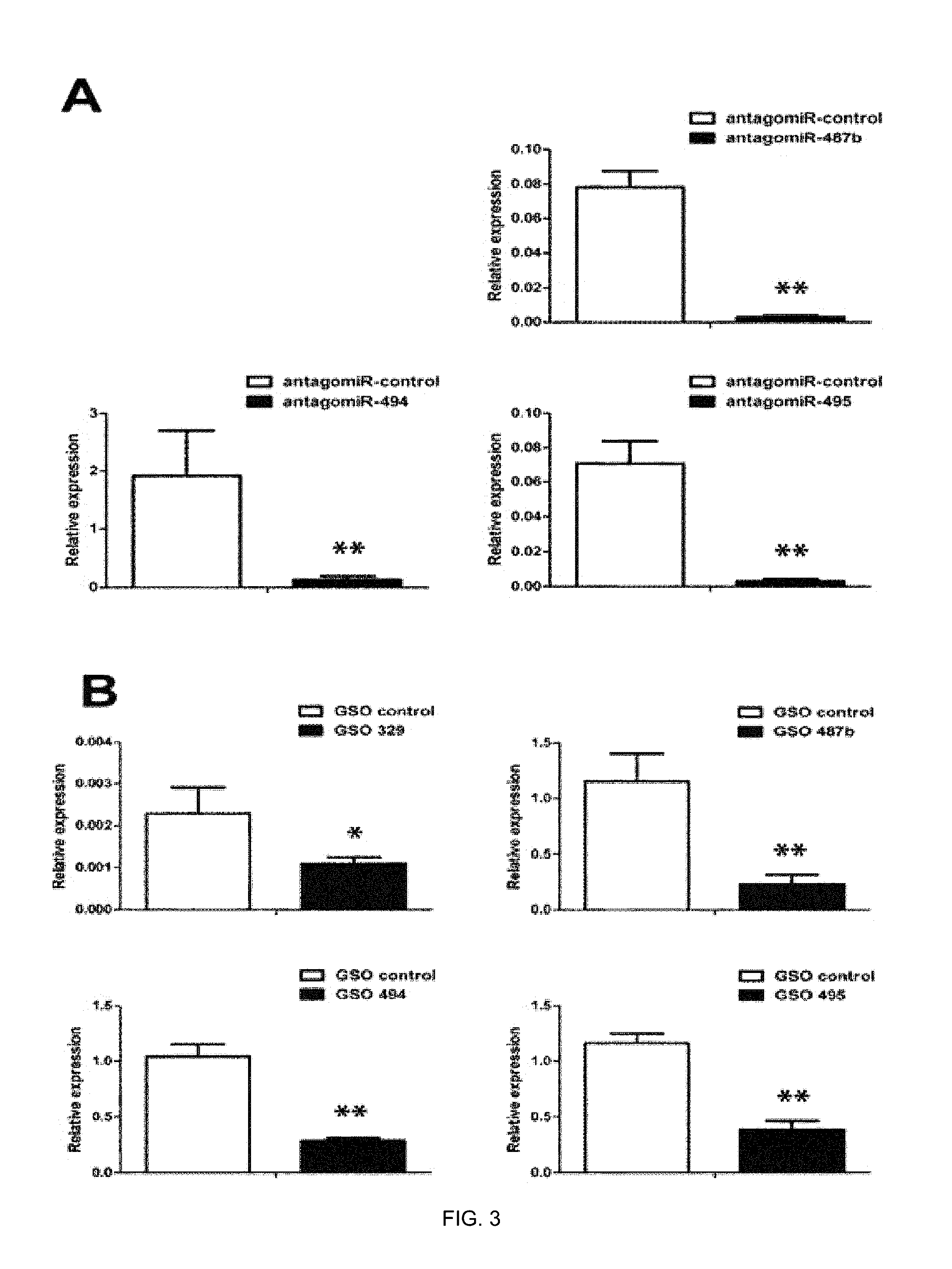 Vascular re-modelling