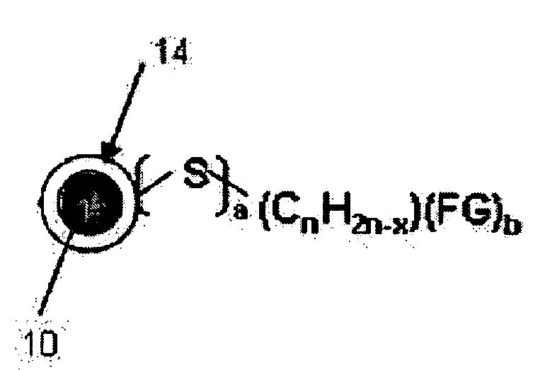 Uniform-sized hydrophilic metal oxide nanoparticles and preparation method thereof