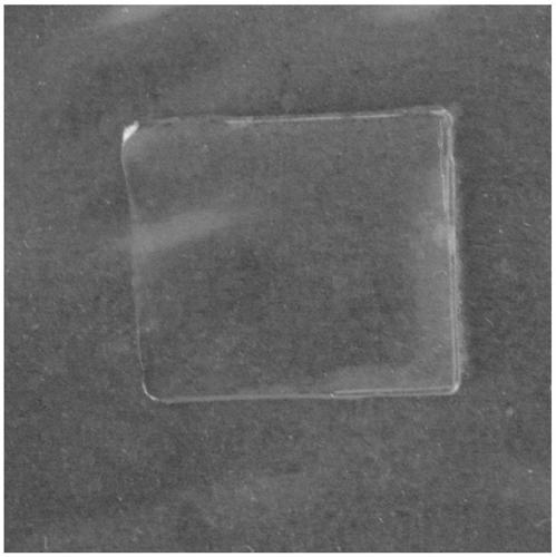 Method for in-situ preparation of nano-silver/carboxylated chitosan composite films by using electric deposition technology