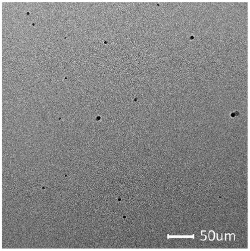 Method for in-situ preparation of nano-silver/carboxylated chitosan composite films by using electric deposition technology