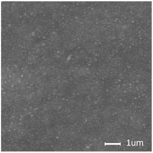 Method for in-situ preparation of nano-silver/carboxylated chitosan composite films by using electric deposition technology