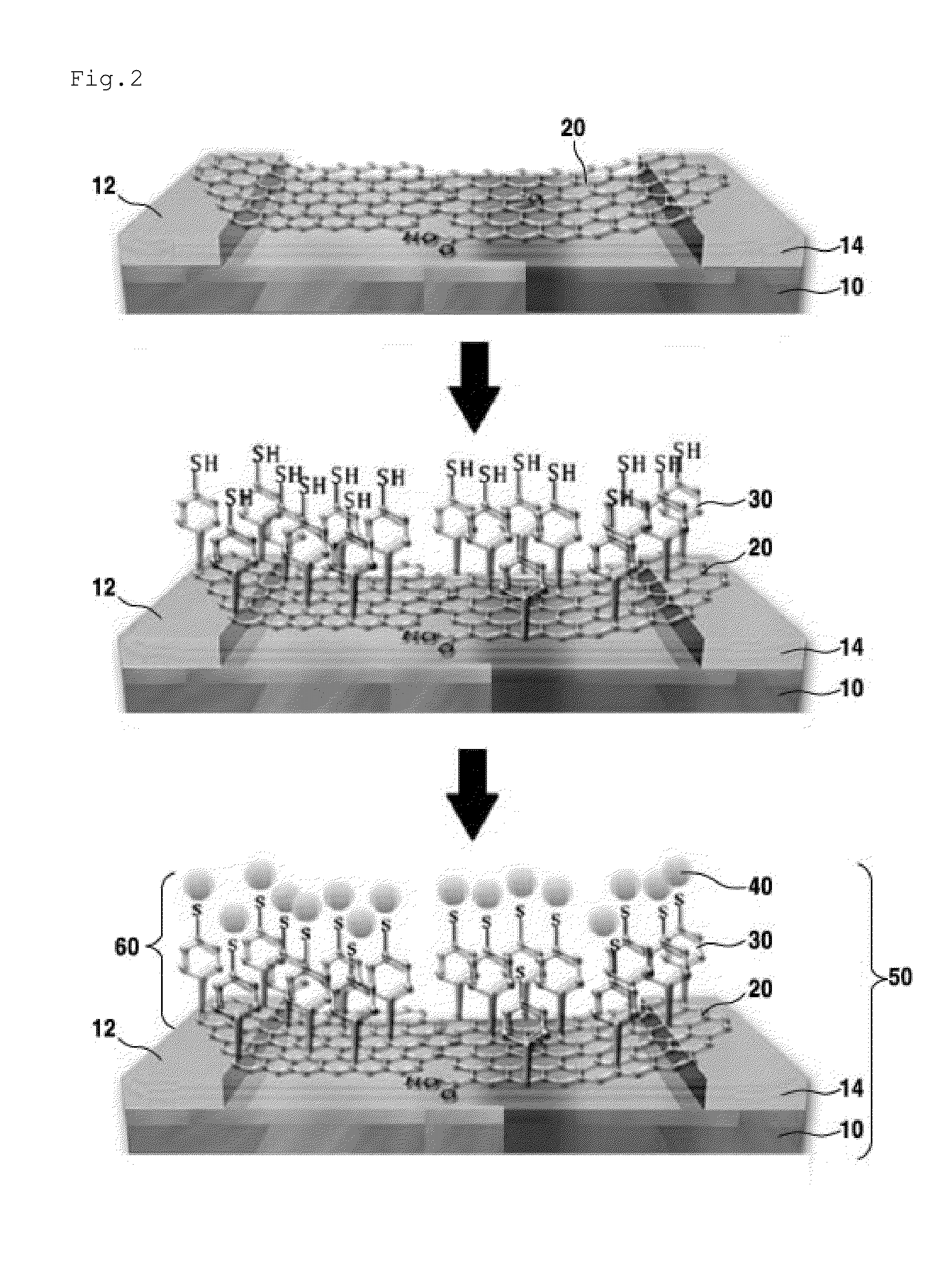 Biosensor comprising reduced graphene oxide layer