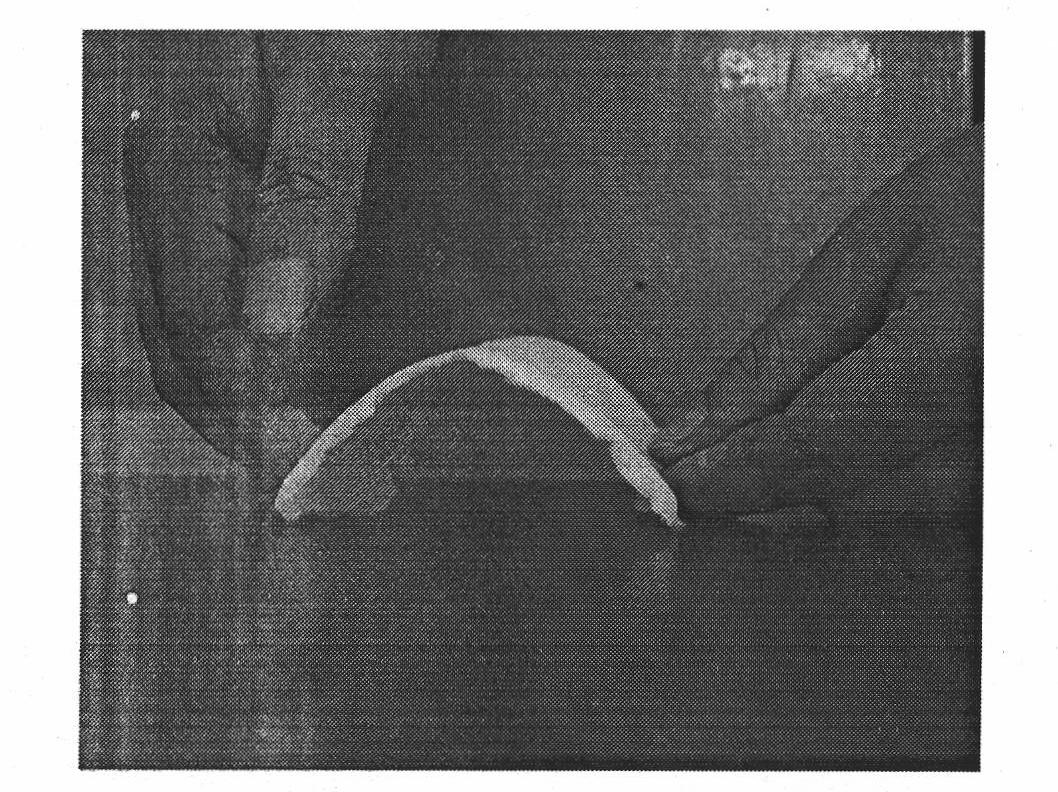 Method for preparing fiber toughness SiO2 aerogel composite material in normal pressure drying condition