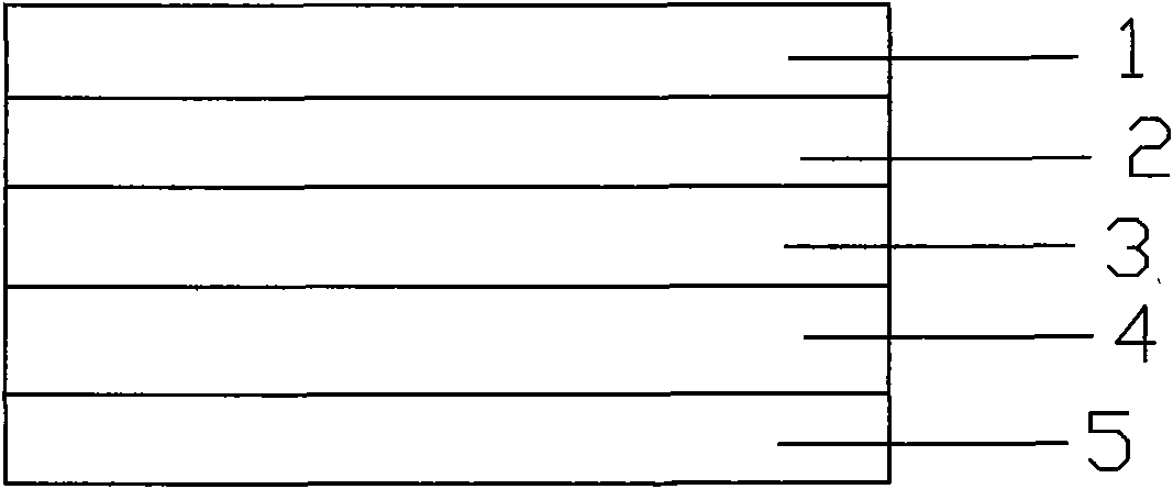 Reusable three-dimensional polarized glass polarizer and glasses using same