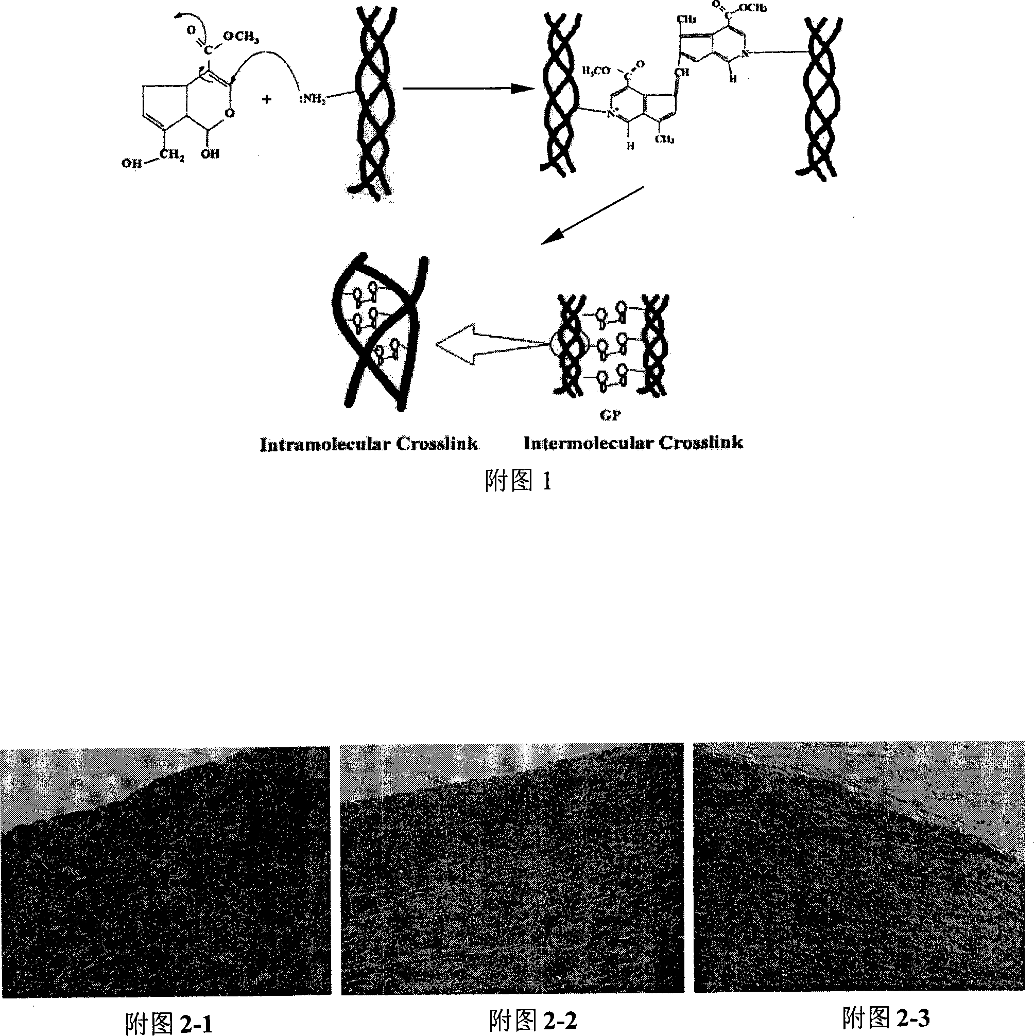 Biological tissue material for artificial esophagus and preparation method thereof