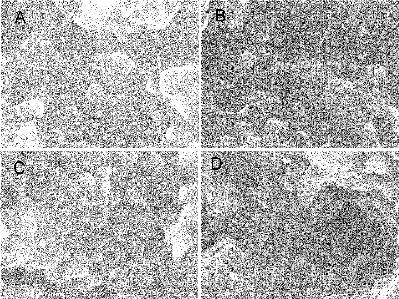 Method for preparing micro/nanocomposite photocurable resin