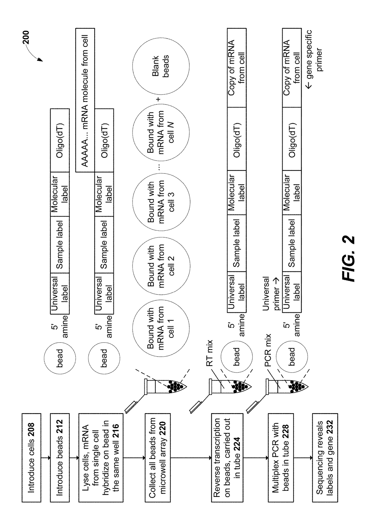 Measurement of protein expression using reagents with barcoded oligonucleotide sequences
