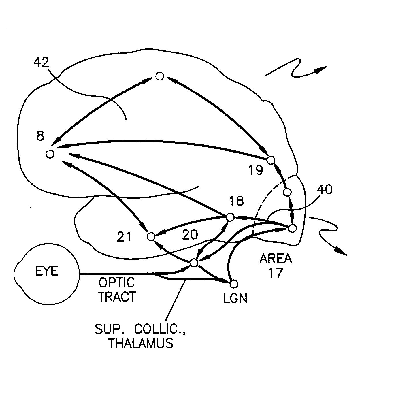 Repetitive visual stimulation to EEG neurofeedback protocols