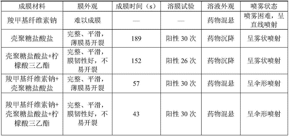 Silver sulfadiazine film formation spray and preparation method thereof