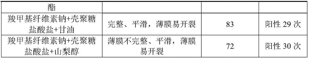 Silver sulfadiazine film formation spray and preparation method thereof