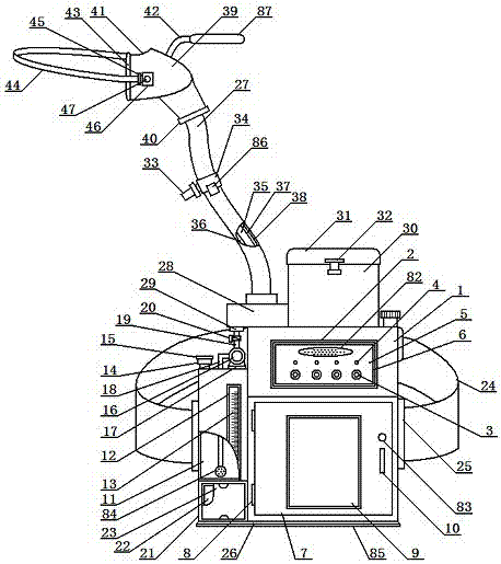 Portable specific vomit device for infectious disease