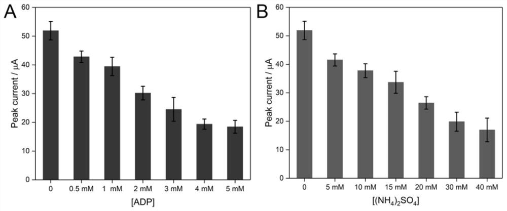 Quantitative detection method of t4 polynucleotide kinase