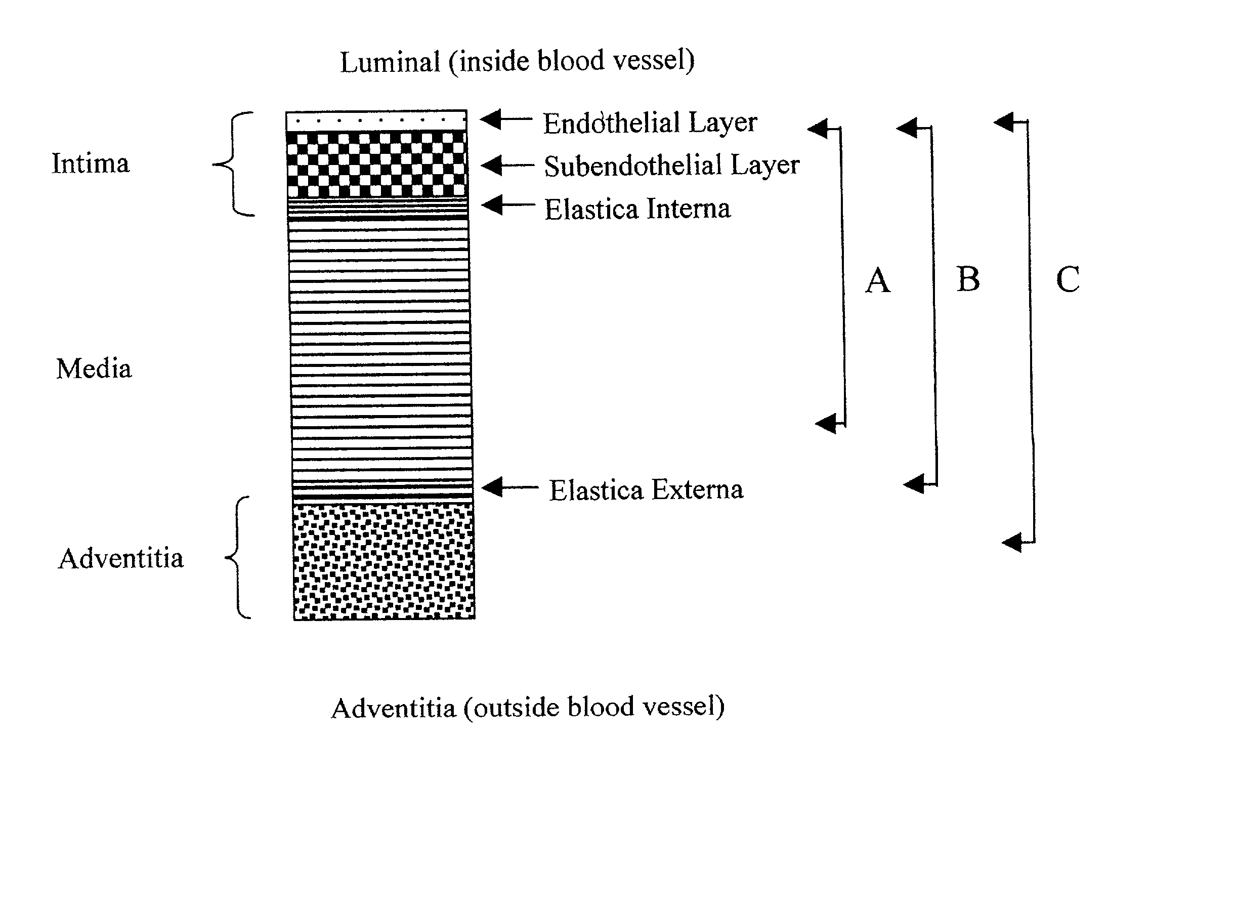 Vascular tissue composition