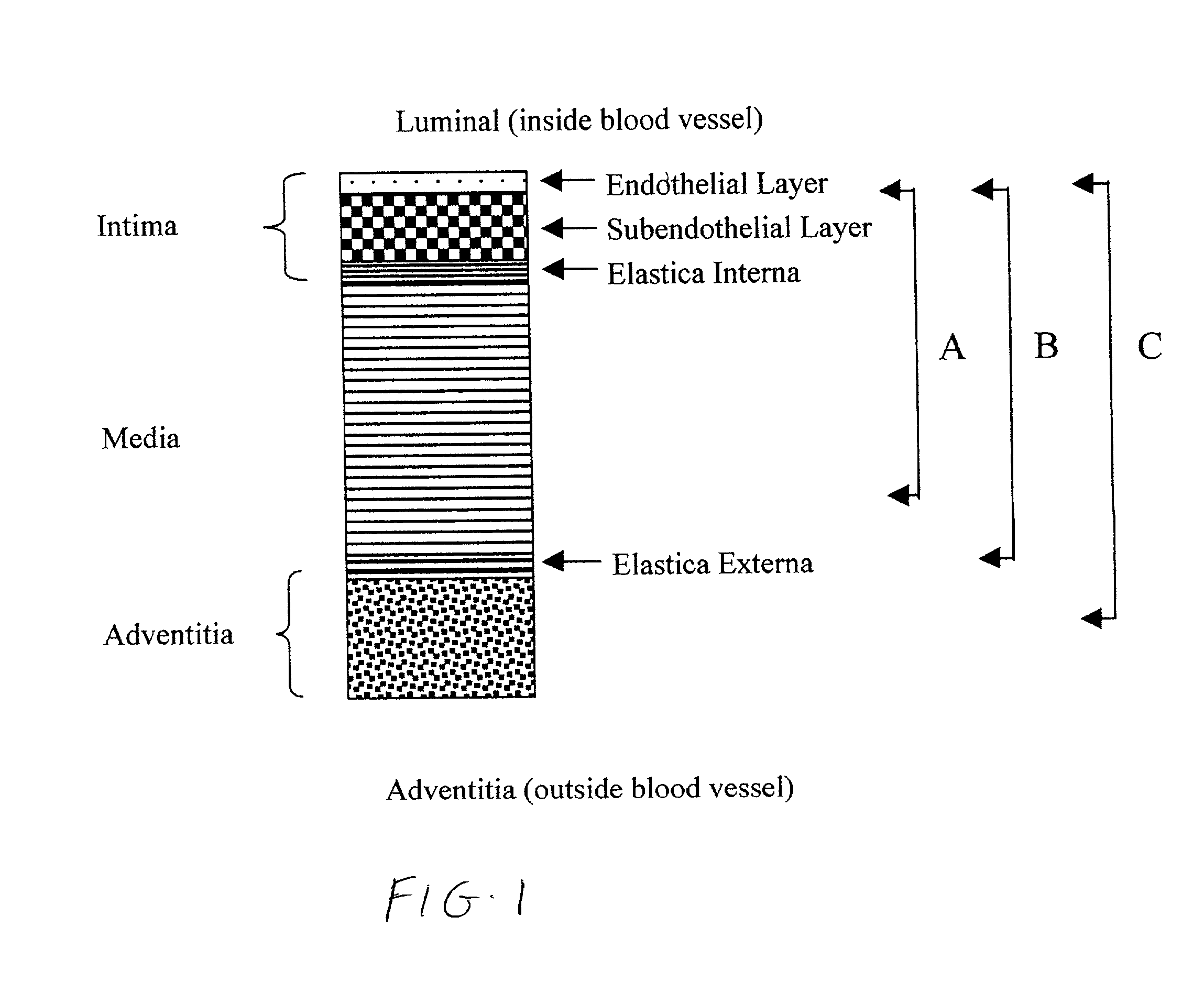 Vascular tissue composition