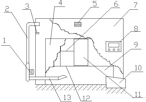 Device and process for baking dark tea