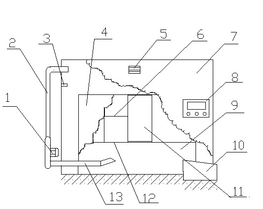 Device and process for baking dark tea