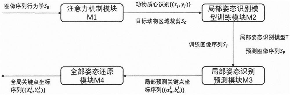 Animal long-time posture recognition system based on infrared image and wearable optical fiber