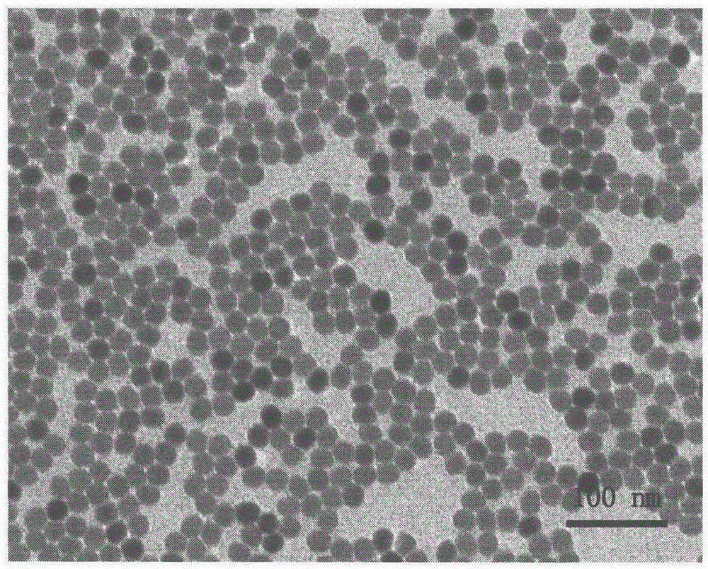 Method for measuring water content in organic solvent through utilization of upconversion nanometer particles