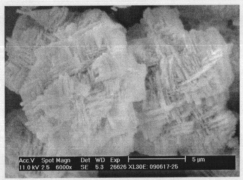 Method for preparing SAPO (Silico-Aluminophosphate) molecular sieve material with multi-level-hole structure