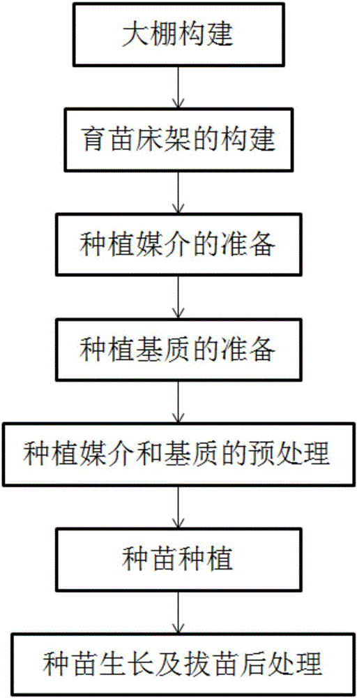 Dendrobium huoshanense seedling domestication method