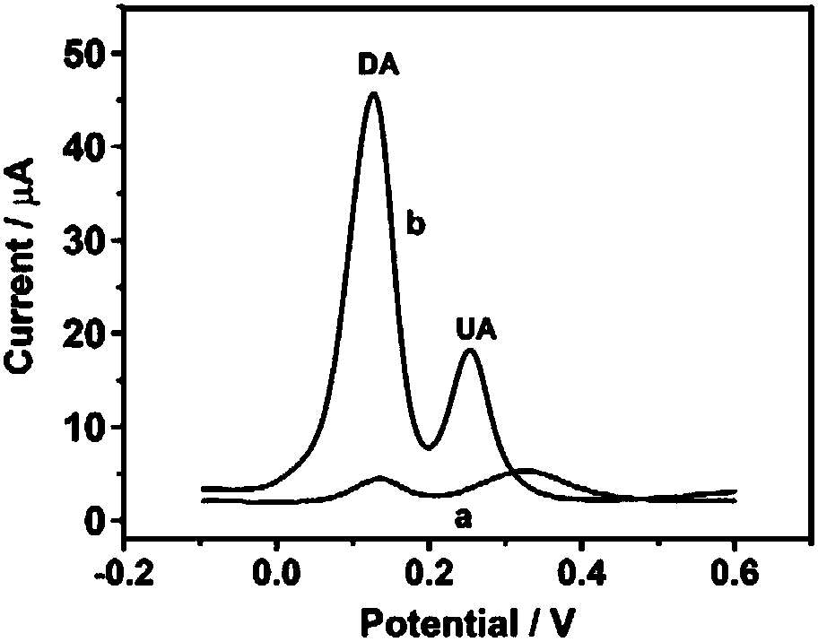 Method of simultaneously detecting dopamine and uric acid based on poly (L-glutathione) modified glassy carbon electrode