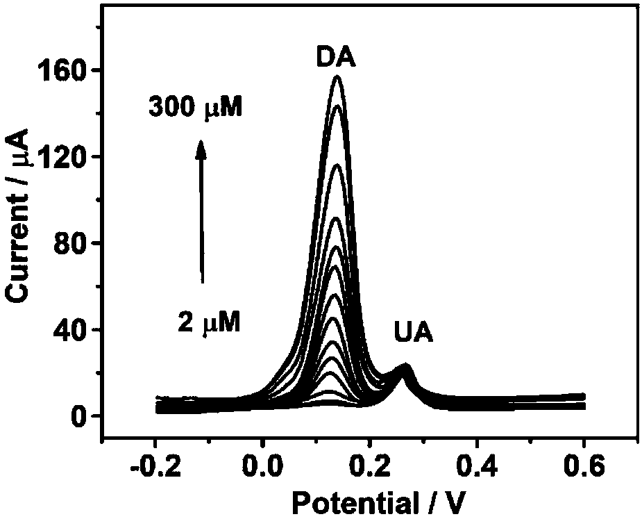 Method of simultaneously detecting dopamine and uric acid based on poly (L-glutathione) modified glassy carbon electrode