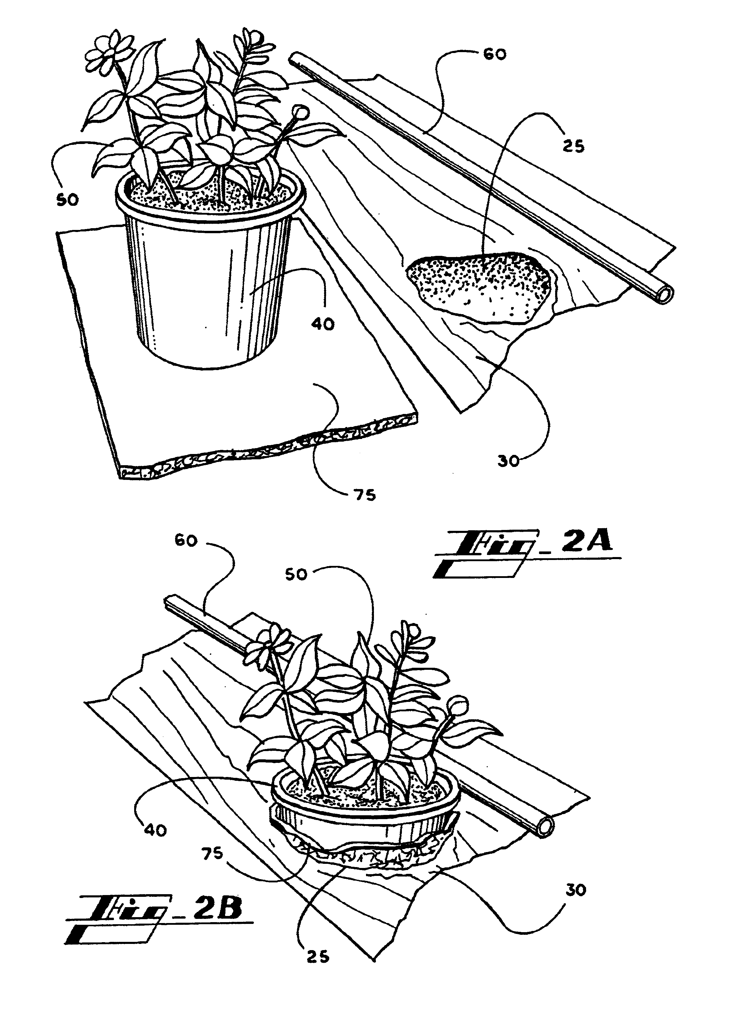 System, method and apparatus for container plant production