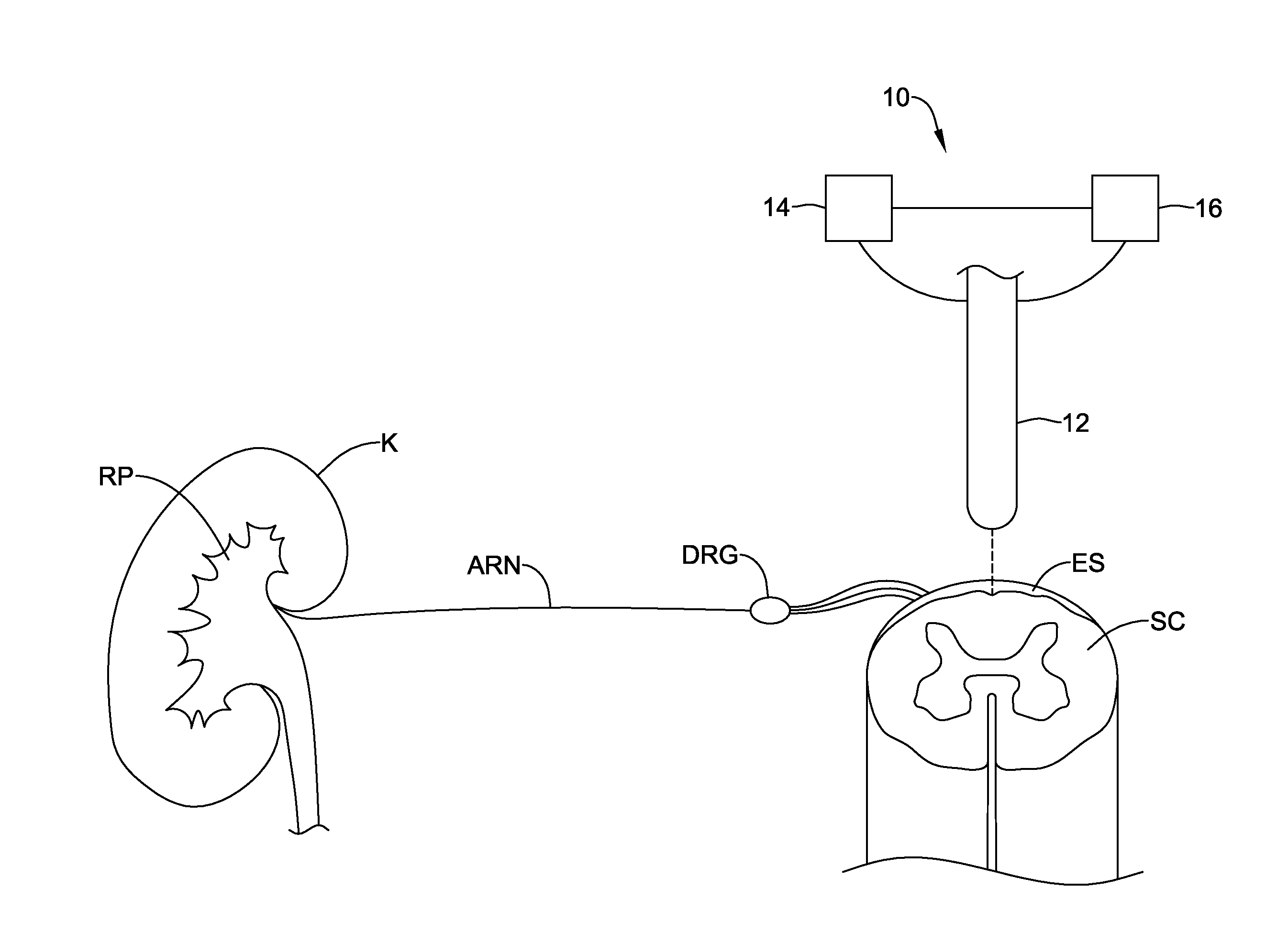 Methods for modulating cell function