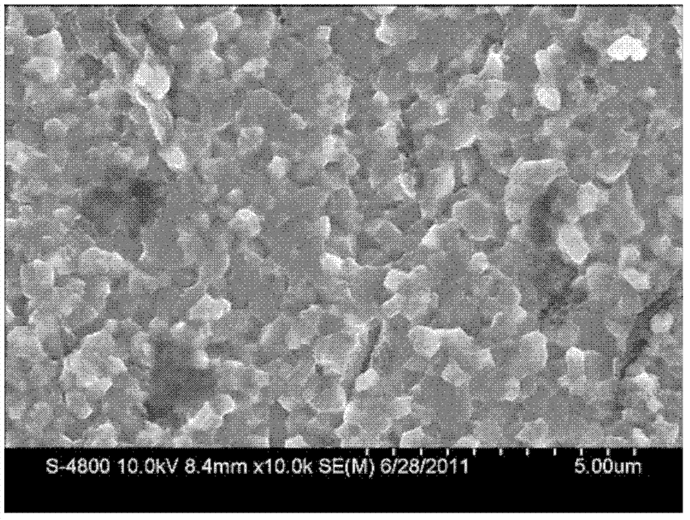 Preparing method for conductive polymer nanoparticle composite TiO2-base thermoelectric material