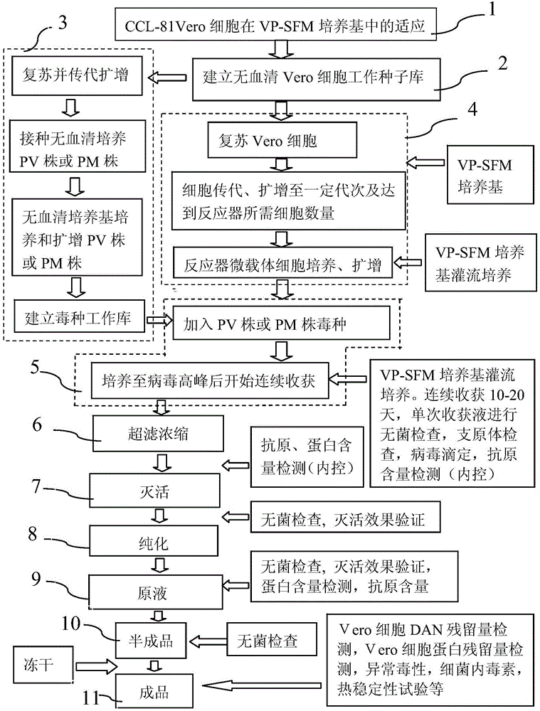 Method for preparing rabies vaccine stock solution from serum-free Vero cells and serum-free rabies vaccine product