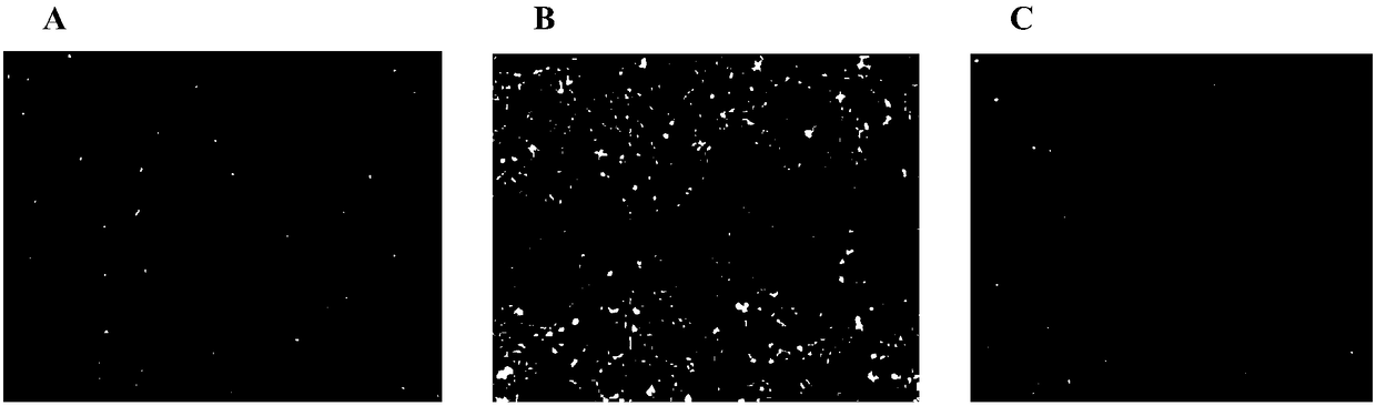 Method for culturing human umbilical cord mesenchymal stem cells